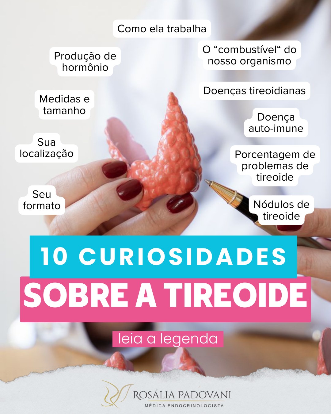 Leia mais sobre o artigo 10 curiosidades sobre a tireoide